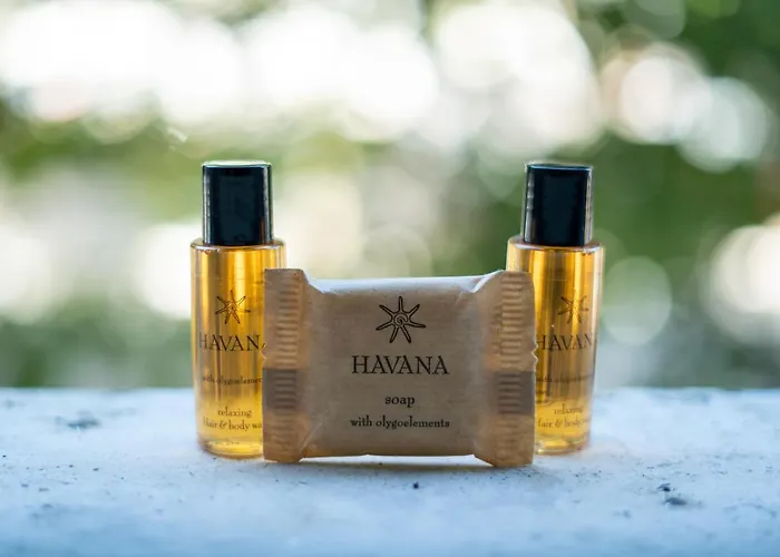 Capital Отель типа 